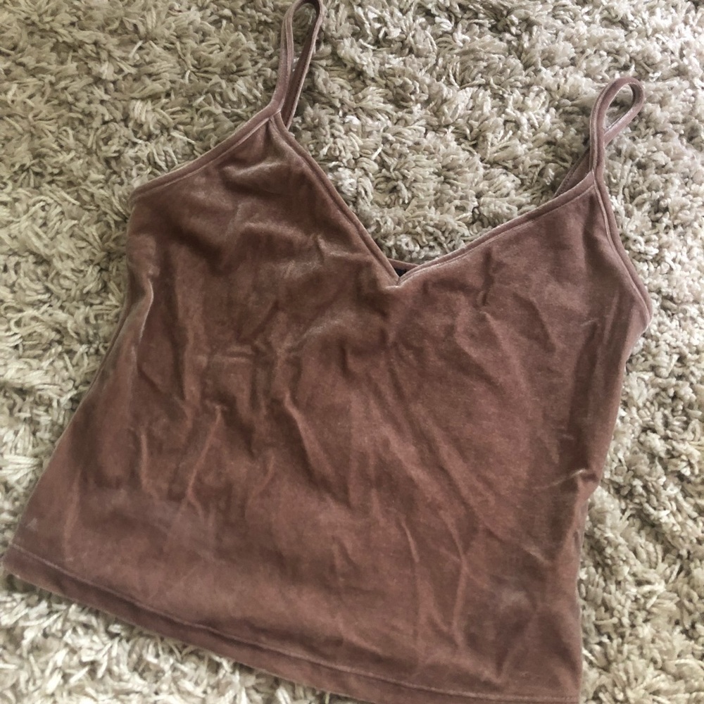 Forever21 mauve velvet crop v neck top